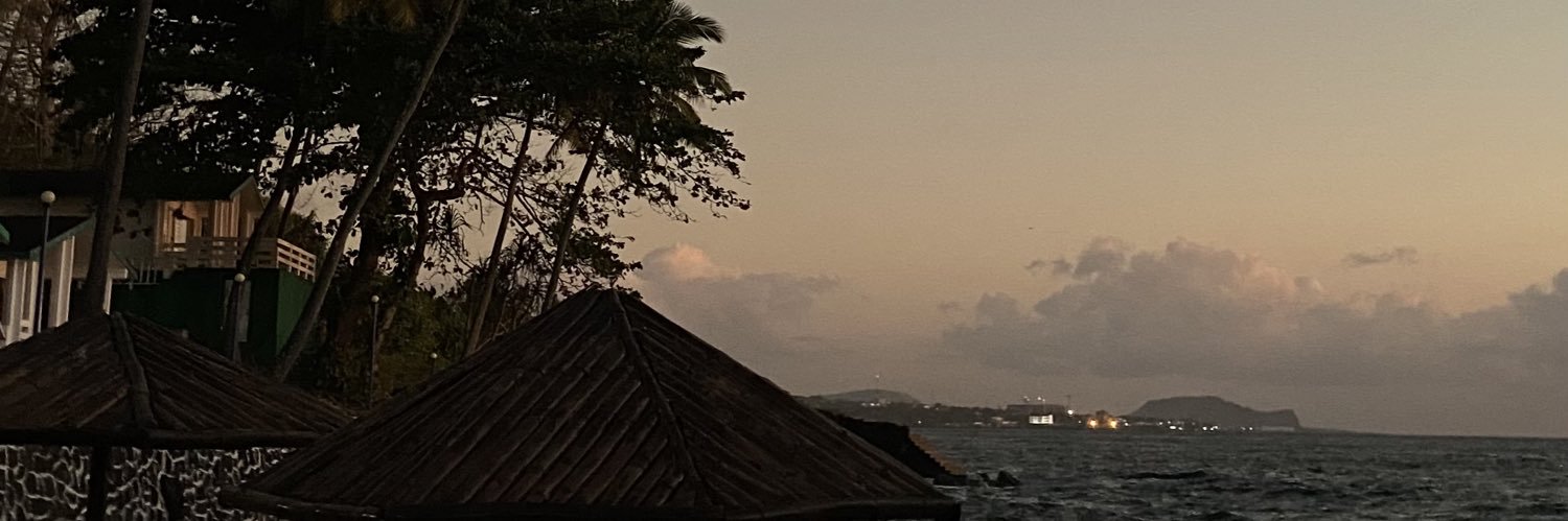 👩🏾‍🎤 banner