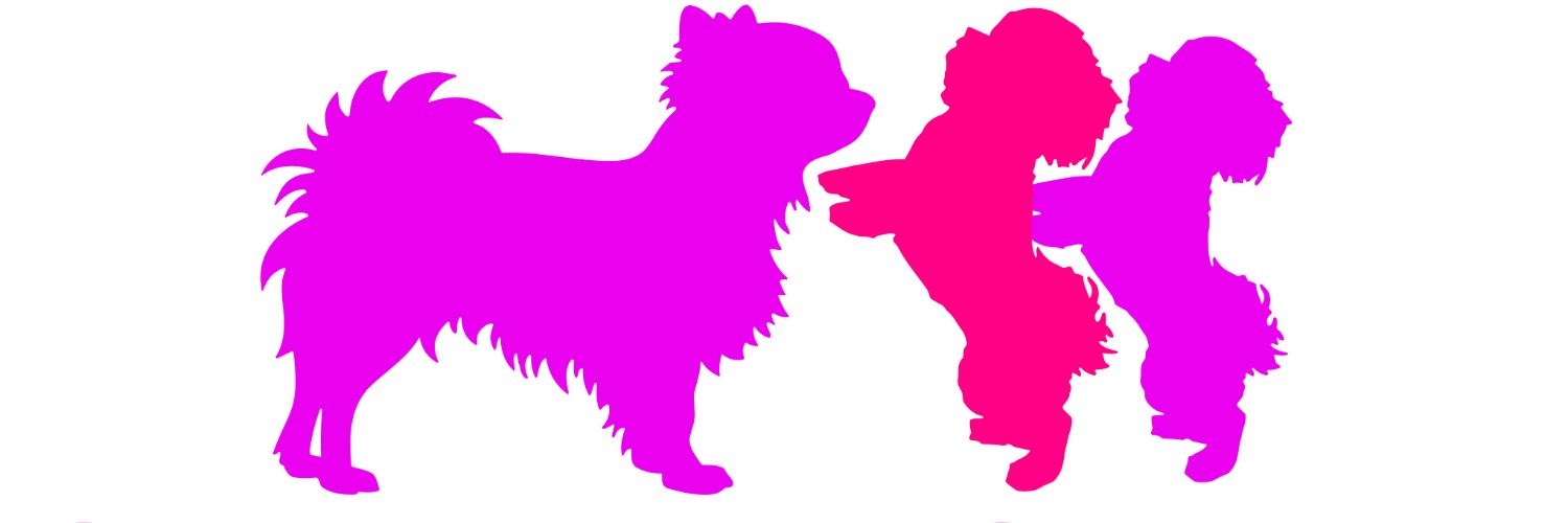 pupsrunway's profile banner image