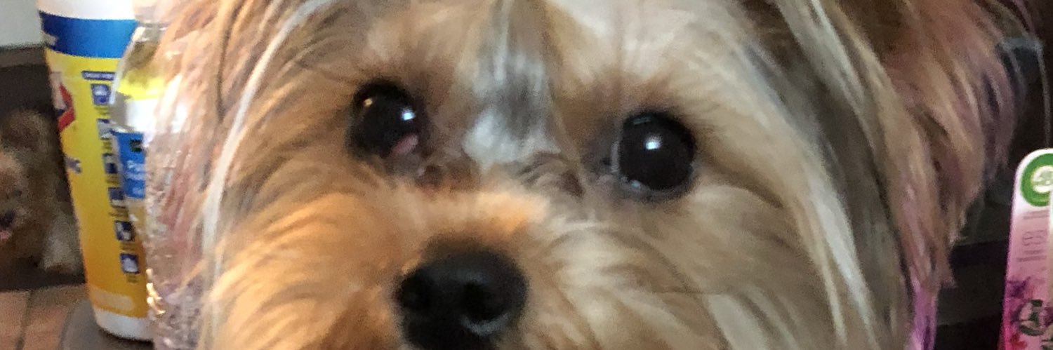 TheDoctress48's profile banner image