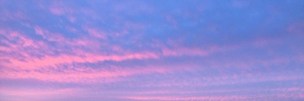 AlannaMonson's profile banner image