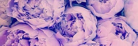 DNautoro's profile banner image