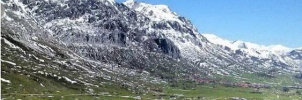 dpazosherrero Profile Banner