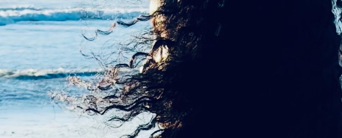 Feistybeverly's profile banner image