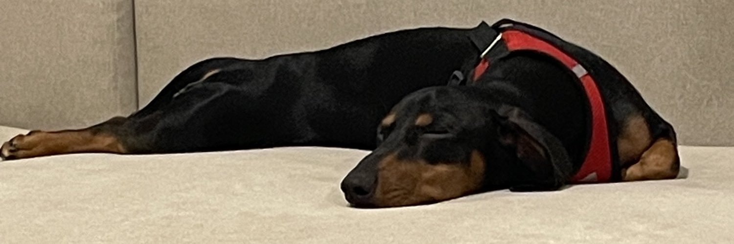 mileepippo's profile banner image