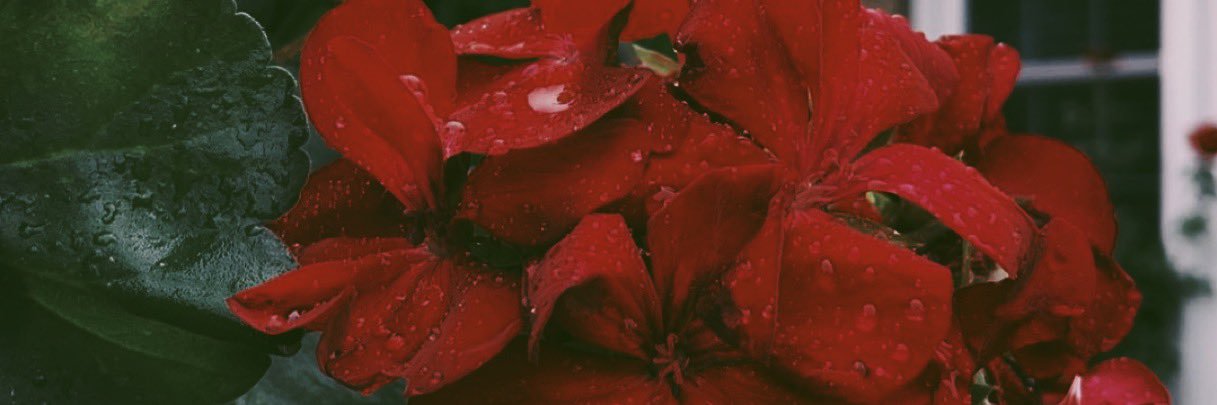 GabbyWhitlock's profile banner image