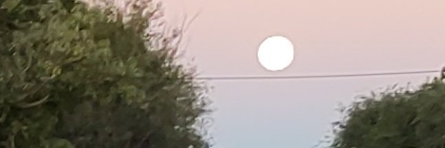 delquetglas's profile banner image
