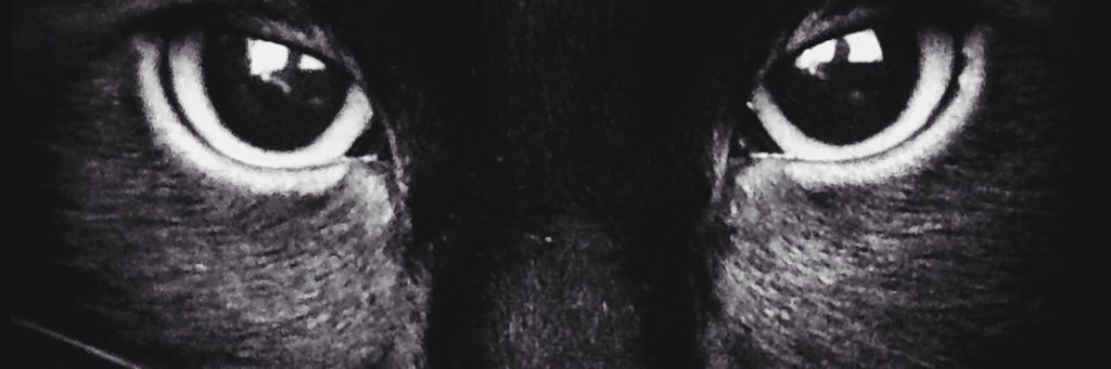 CBialoskurski's profile banner image