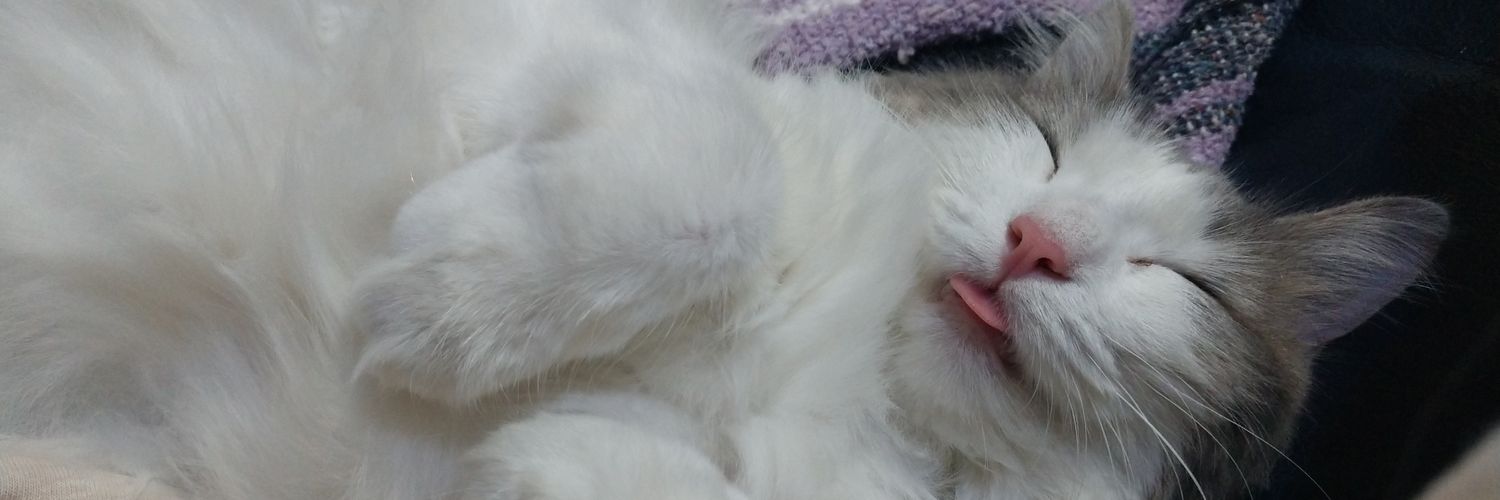 DK, Carb Cat Herder banner