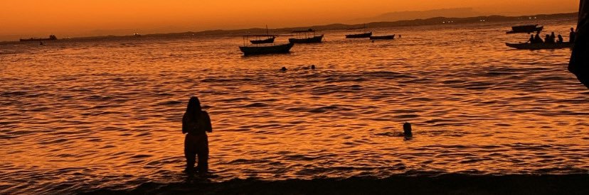 Hugocotrimm's profile banner image