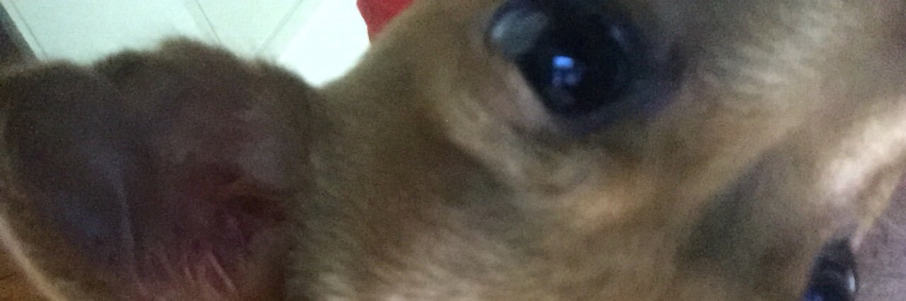 BrandxFlakes's profile banner image