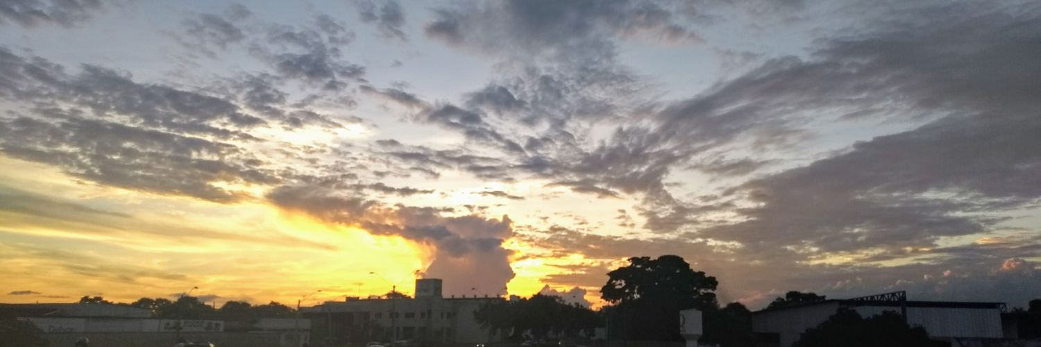 lethicialopess's profile banner image