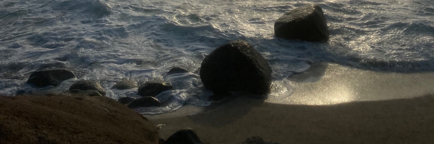 amantedelimon_'s profile banner image