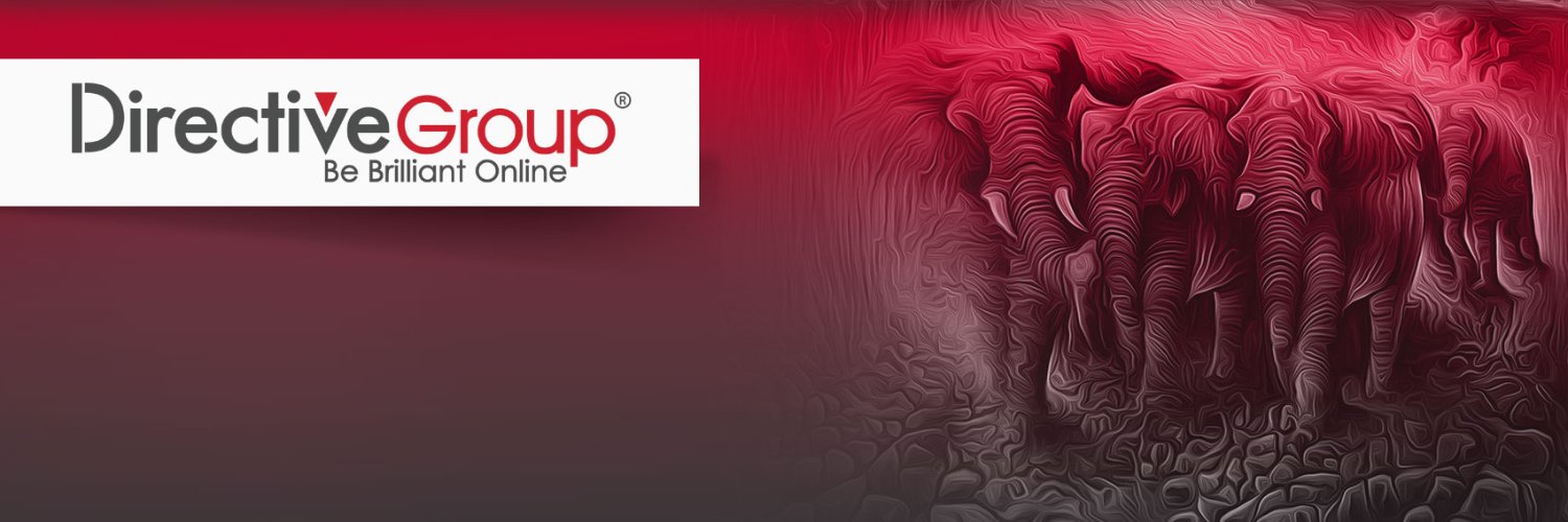 DirectiveGroup's profile banner image