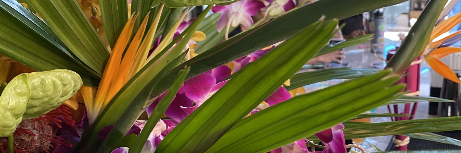 RaySamlow's profile banner image