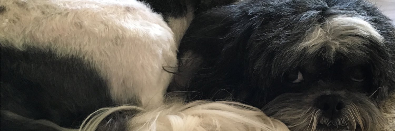 amanda_stuff's profile banner image