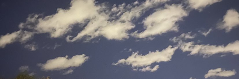 dgmsgigi's profile banner image