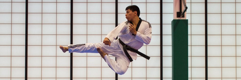 Judo Guide banner