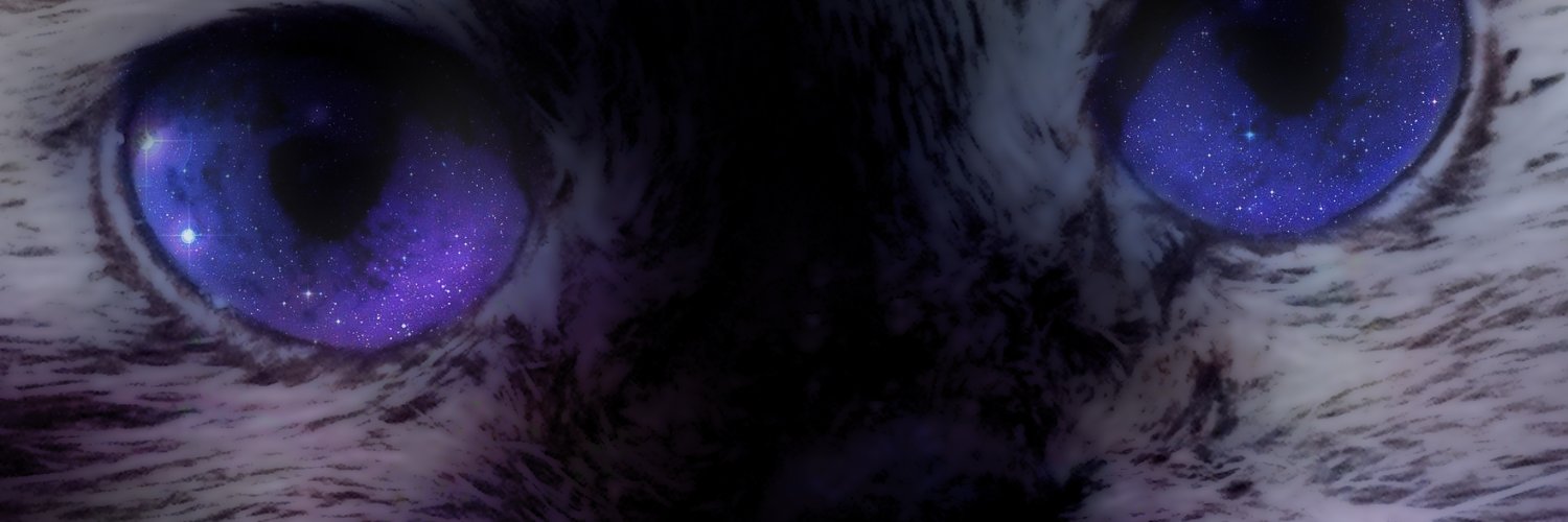 NoQuarter_TV's profile banner image
