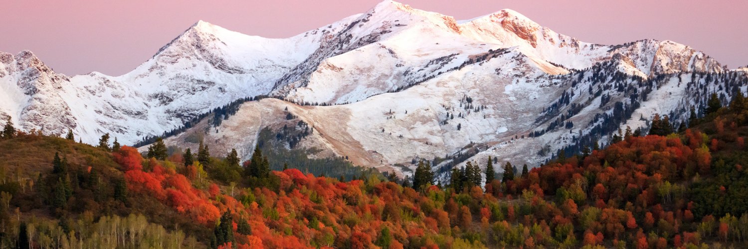 Linda López-Stone banner