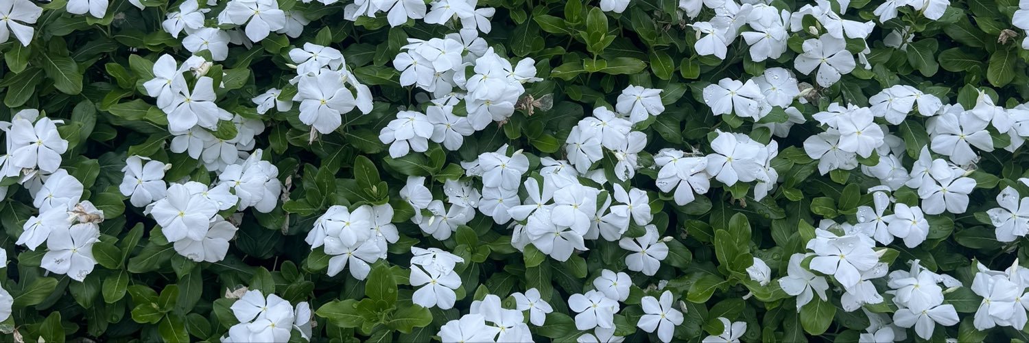 avonvoigt's profile banner image