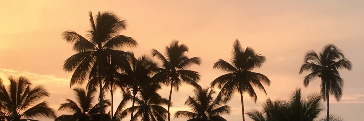 sLiiZaRd's profile banner image