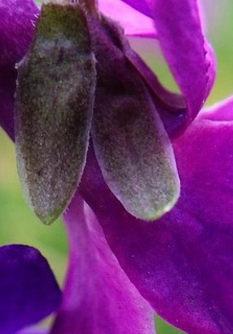aciosiz's profile banner image