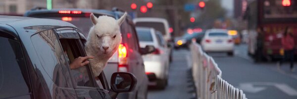 CassLGarrison Profile Banner