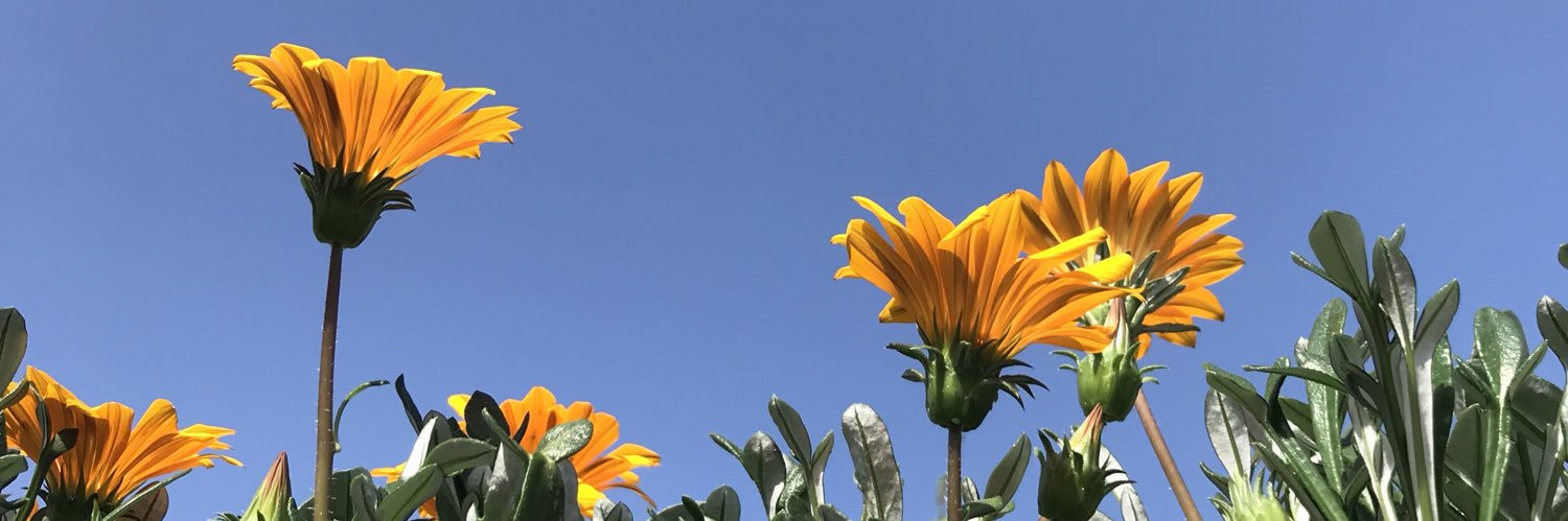 bevermeer_kw's profile banner image