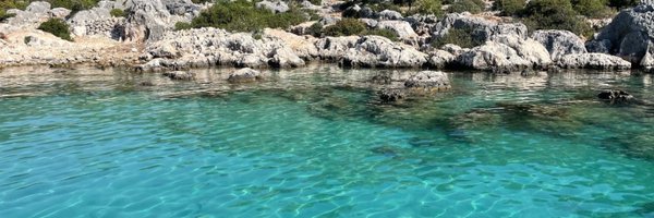 ElcinTuzel Profile Banner