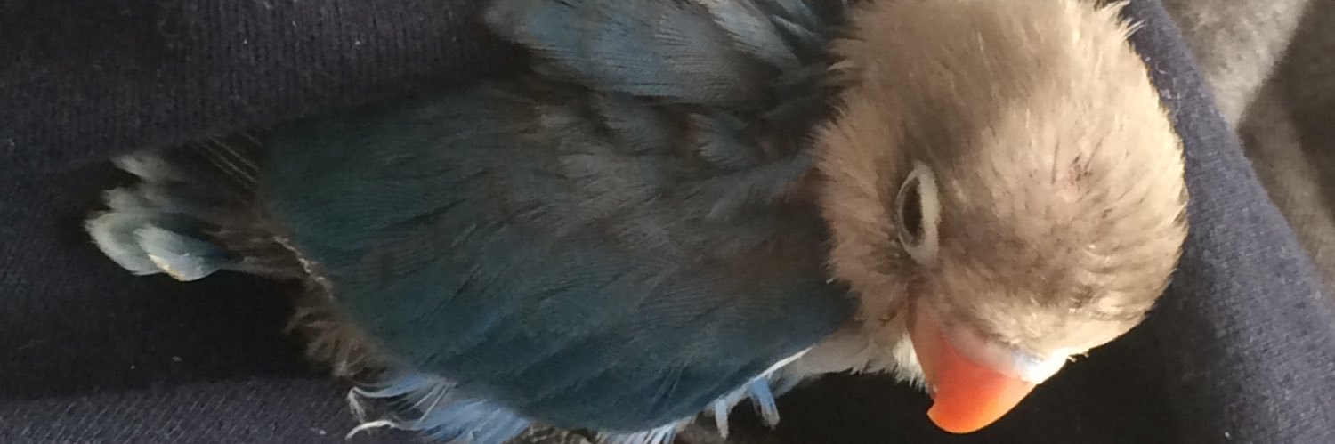 Combo5_'s profile banner image