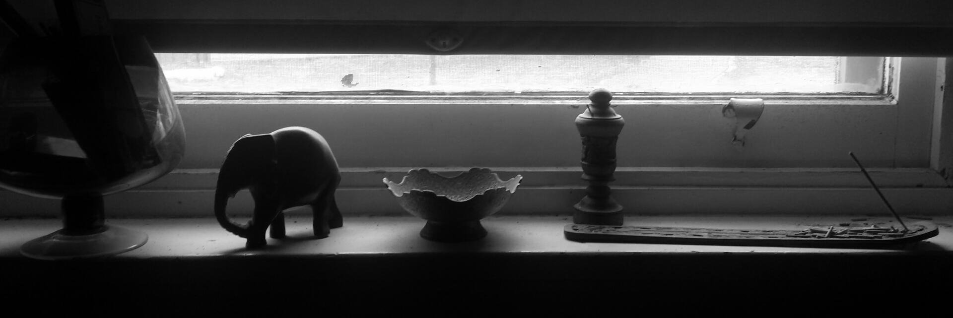 Dr Joshua Trigg banner