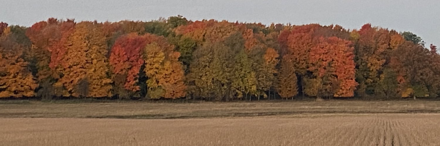 Wayne Helland banner