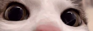 Xron 🇺🇦 banner