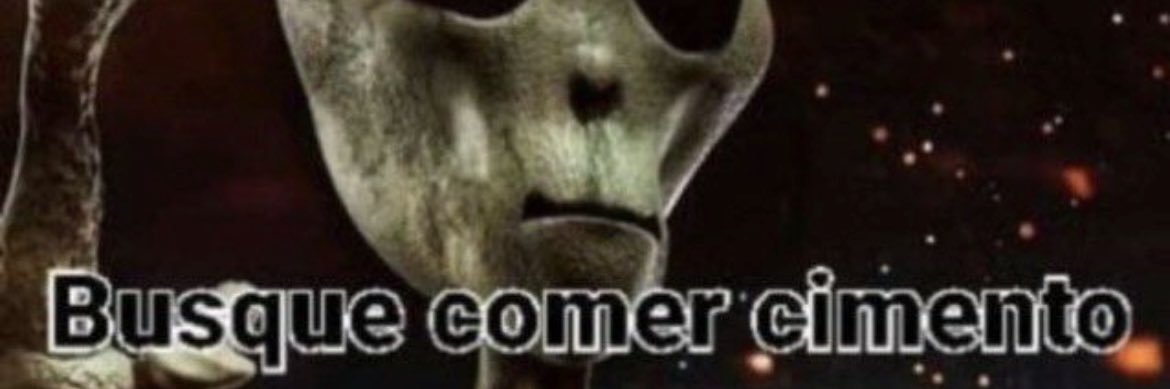 Parreirowsky banner