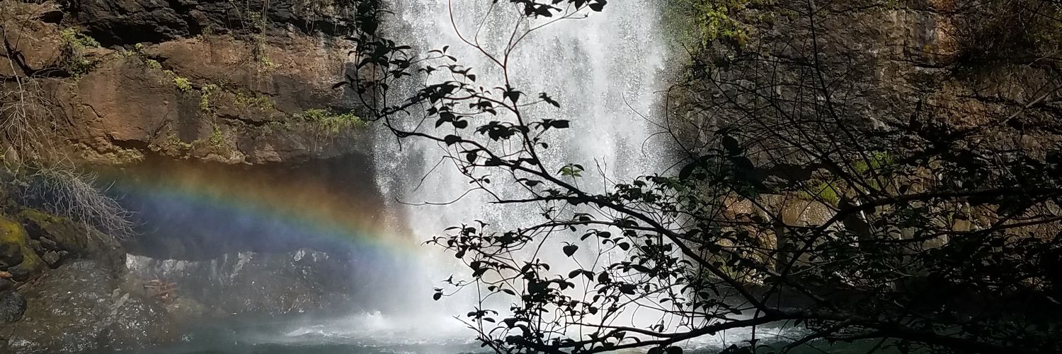 NicholasSae's profile banner image