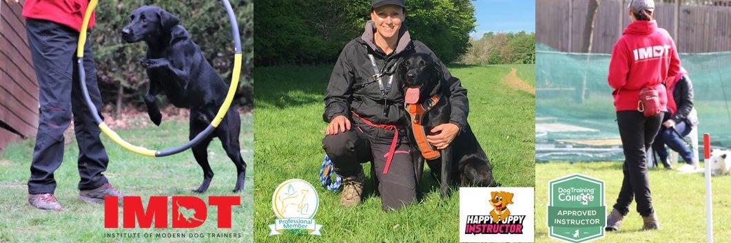 canineconnecti3's profile banner image