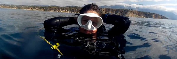 welshtricky Profile Banner