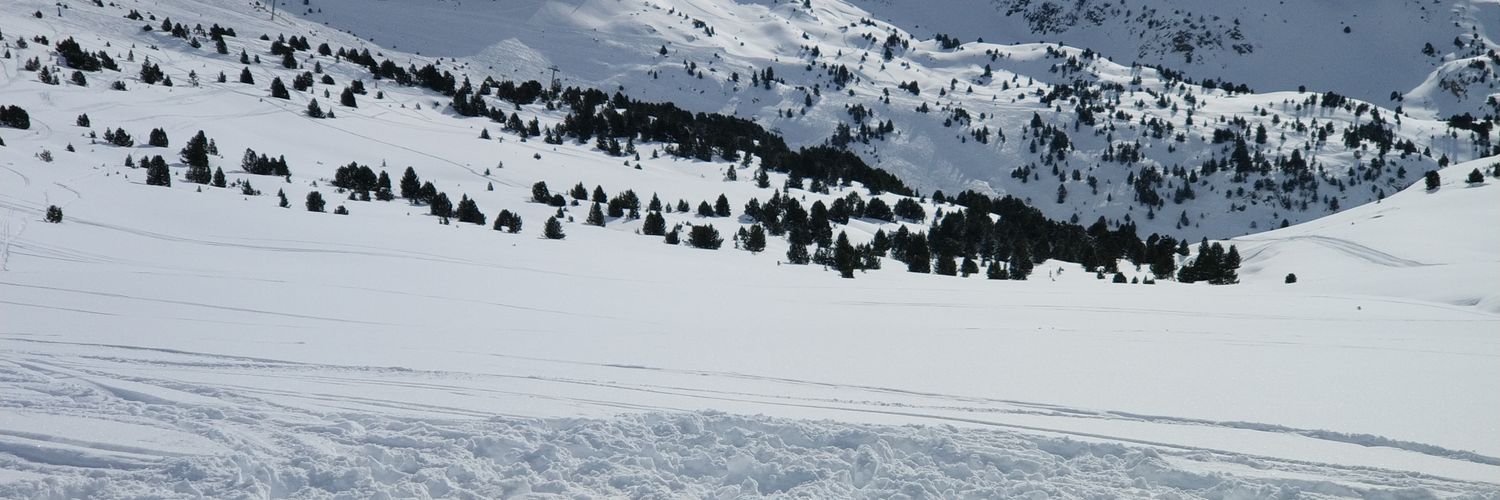 peclpedro's profile banner image