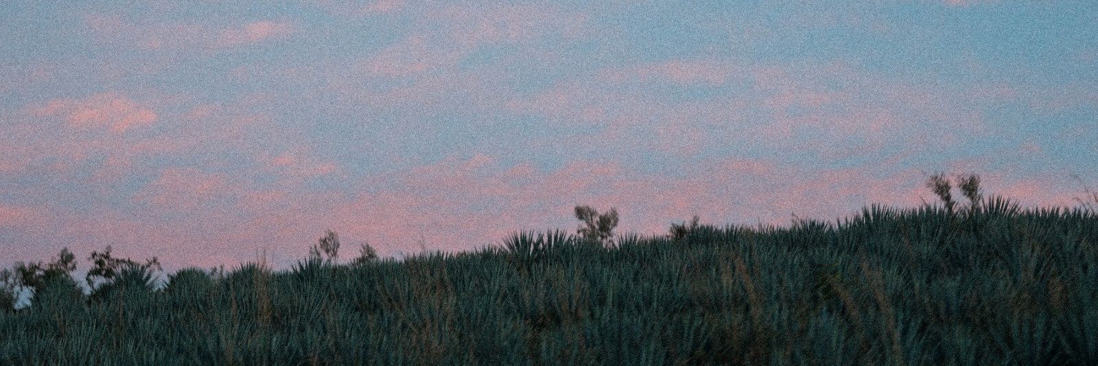 Kim banner