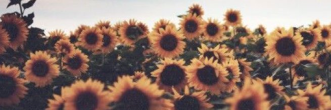 Hayyyyy_1's profile banner image