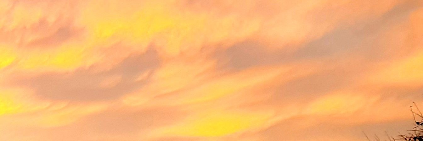 fictionalheart1's profile banner image