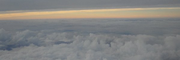 fdsp Profile Banner