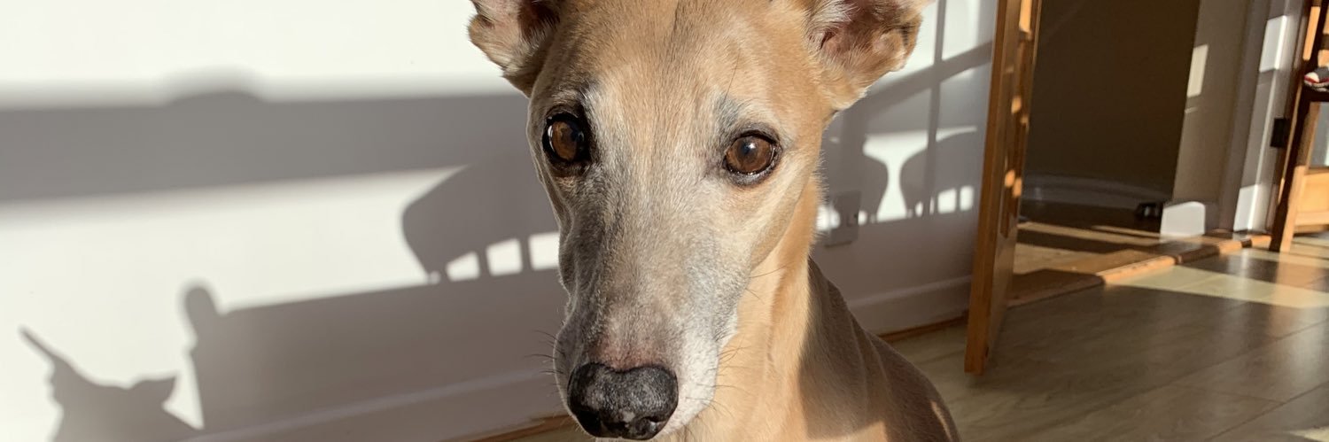 Mark Wills (All thoughts my own)💙 banner