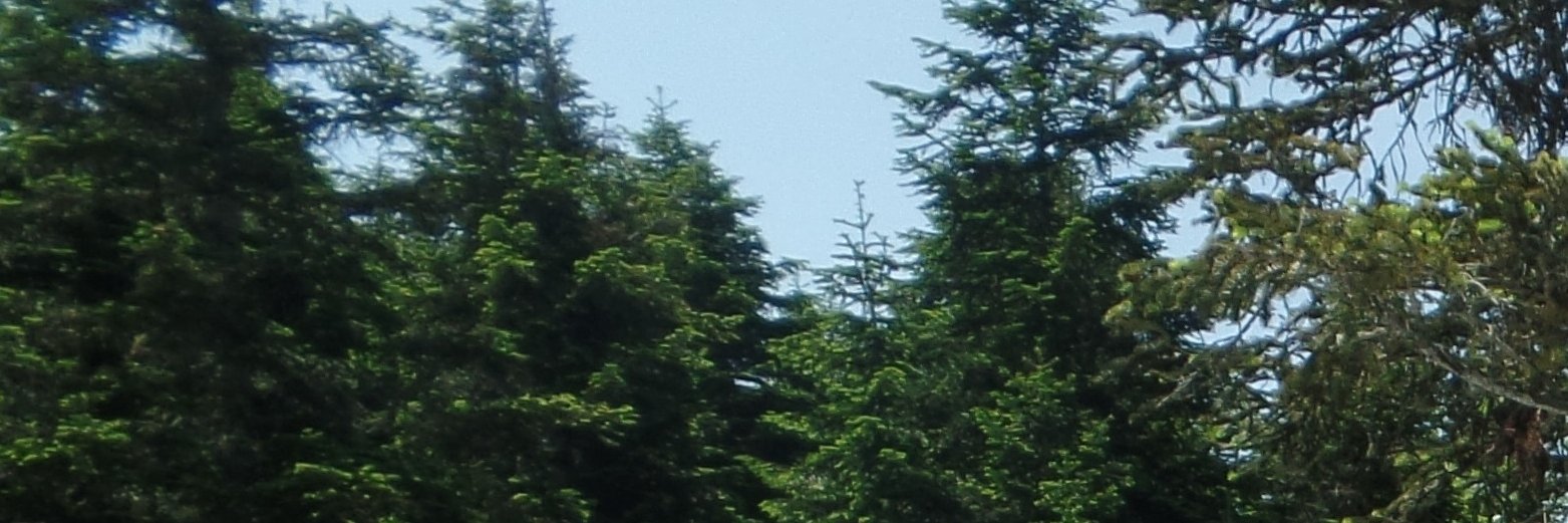 Yokimat's profile banner image