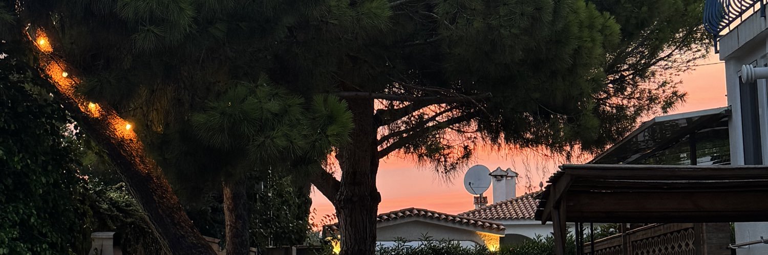 Janehrdmn's profile banner image