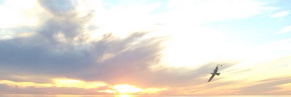 SusanNatland Profile Banner