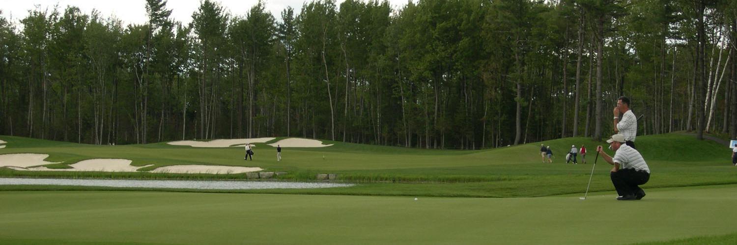 sandygreengolf's profile banner image