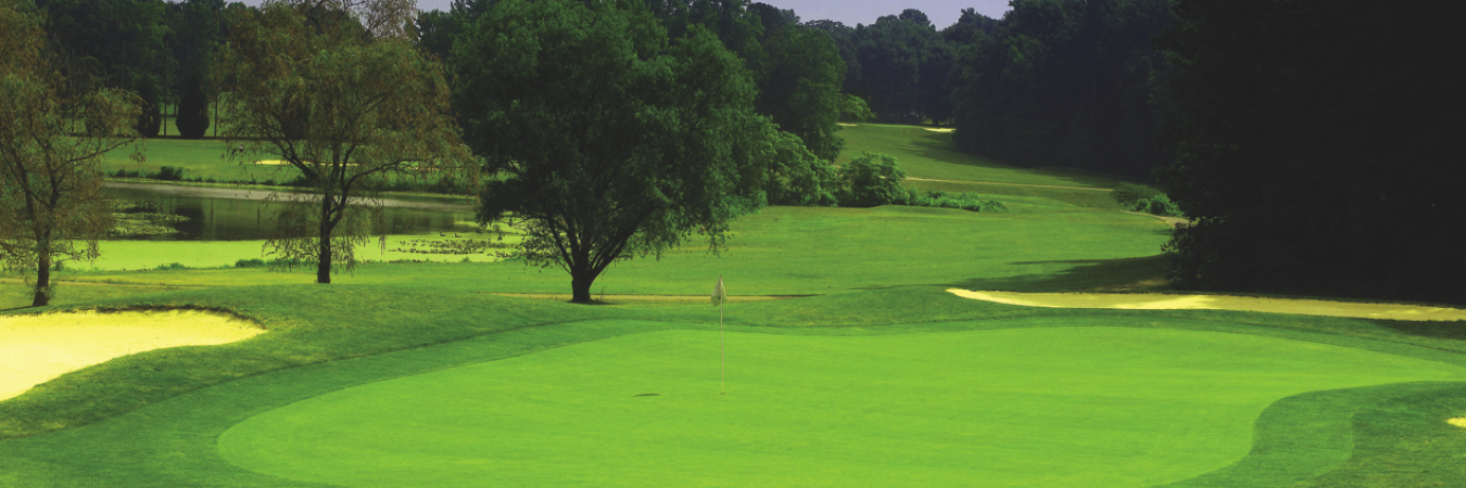 NewCaneyGolf's profile banner image
