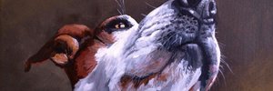 JillRRoberts's profile banner image