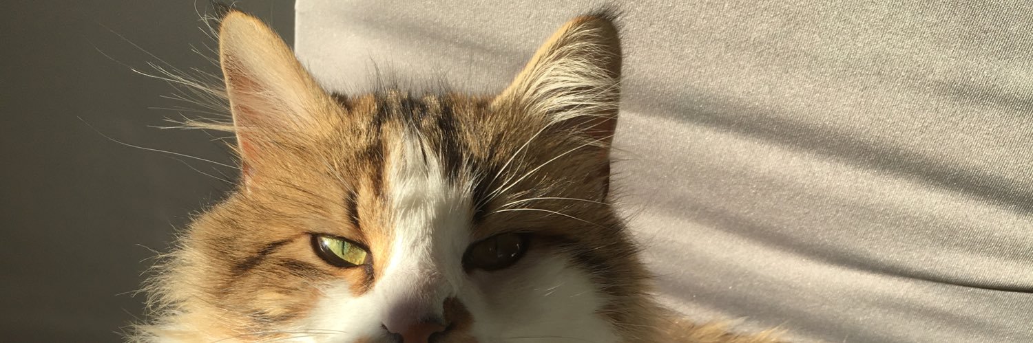 kleslap's profile banner image
